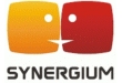 SIA Synergium